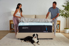 TEMPUR-LuxeAdapt® 13" Mattress