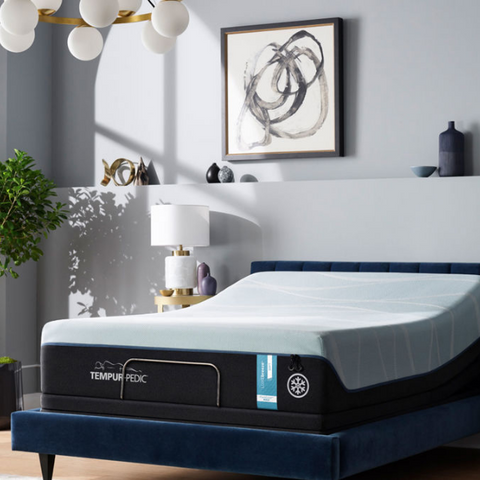 Sealy Value - Scallop Pearl Tight Top Cushion Firm Mattress - Queen